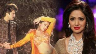 madhuri dixit, anil kapoor, sridevi,