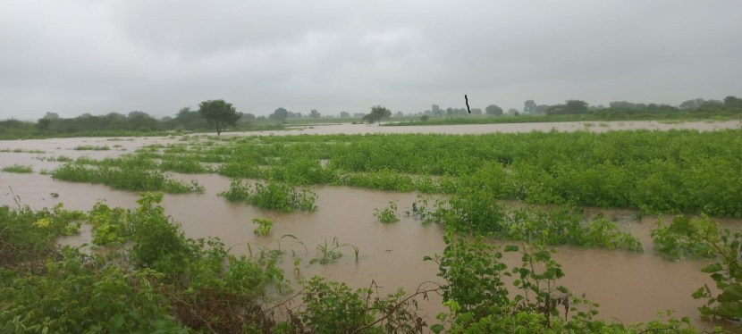 बीड जिल्ह्यातील अंबाजोगाई मधील पठाण मांडवा येथील शेतपिके पाण्यात गेलेली आहेत.