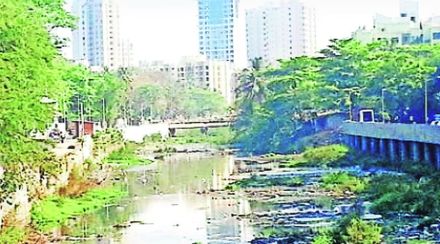 दहिसर, वालभट नद्यांचे पुनरुज्जीवन