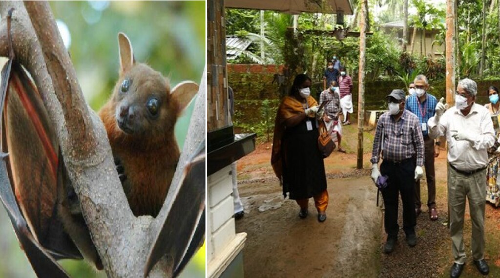 nipah virus in kerala