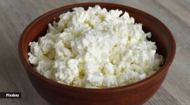 paneer