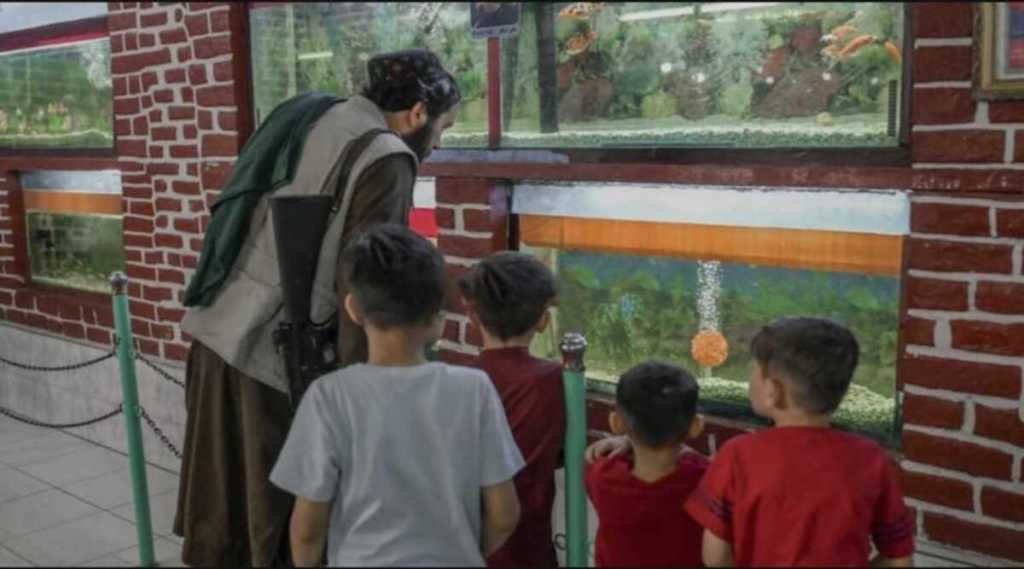 talibani in zoo