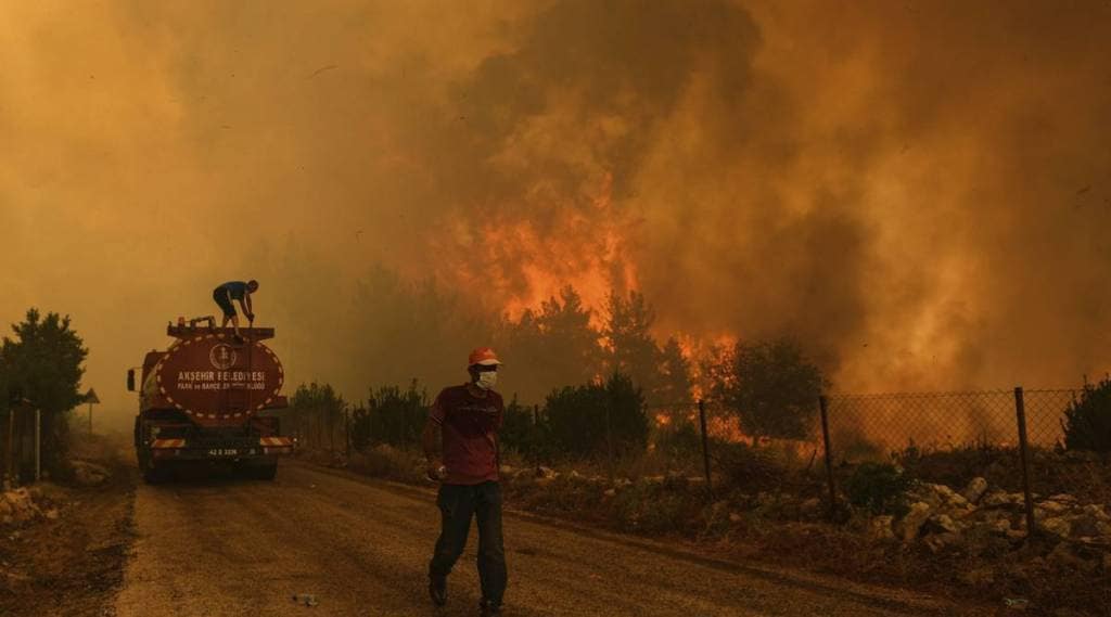 turkey-wildfire-1-1