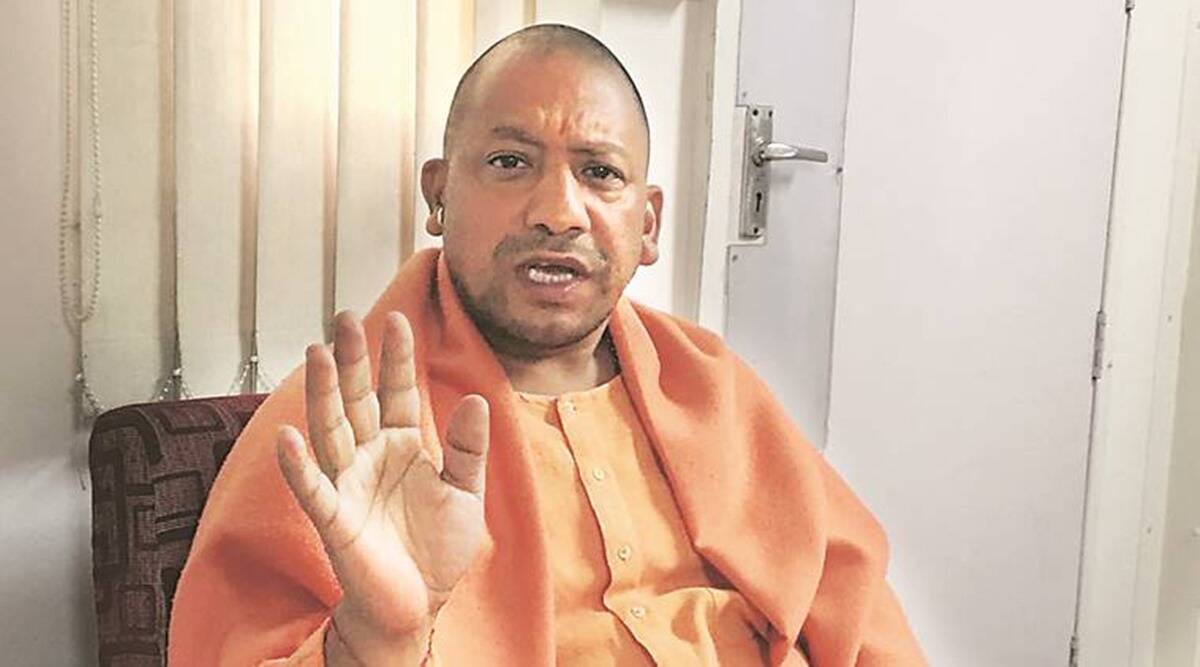 yogi
