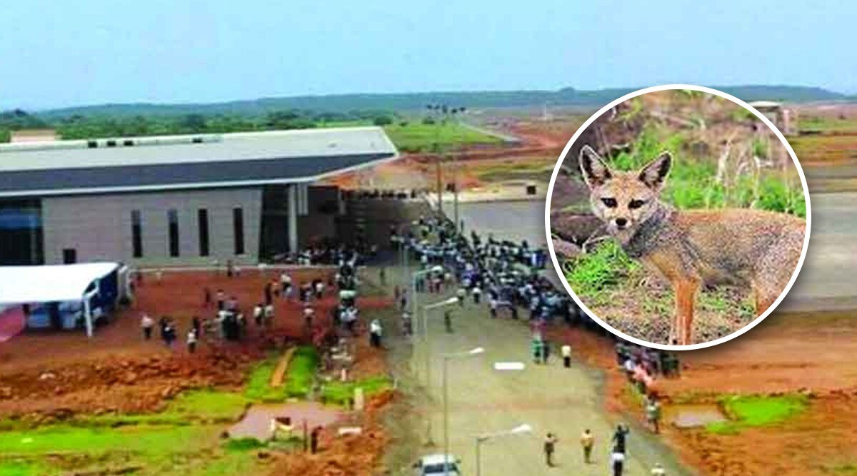 Fox, Airport, Chipi Airport, Sindhudurg, कोकण, चिपी विमानतळ, सिंधुदूर्ग विमानतळ