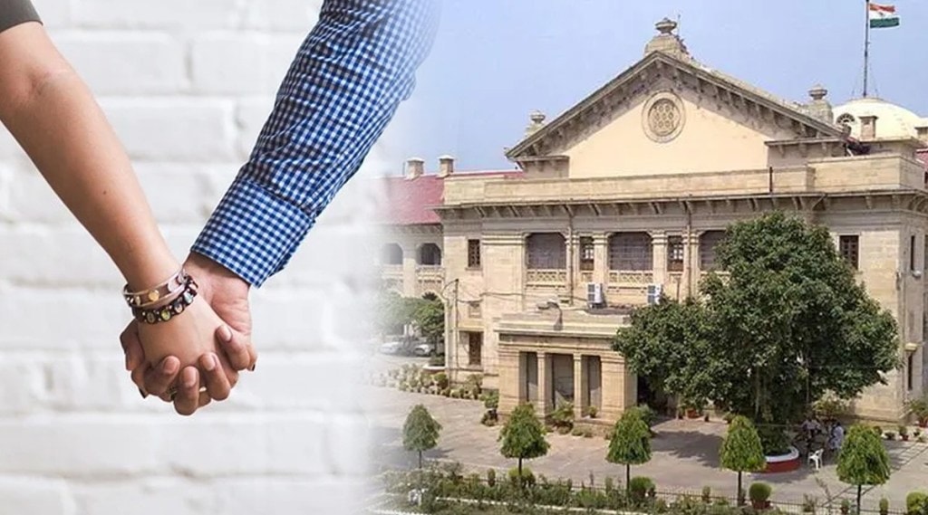 allahabad high court on live in relationship
