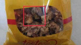 chennai-dead-lizard-in-food-packet