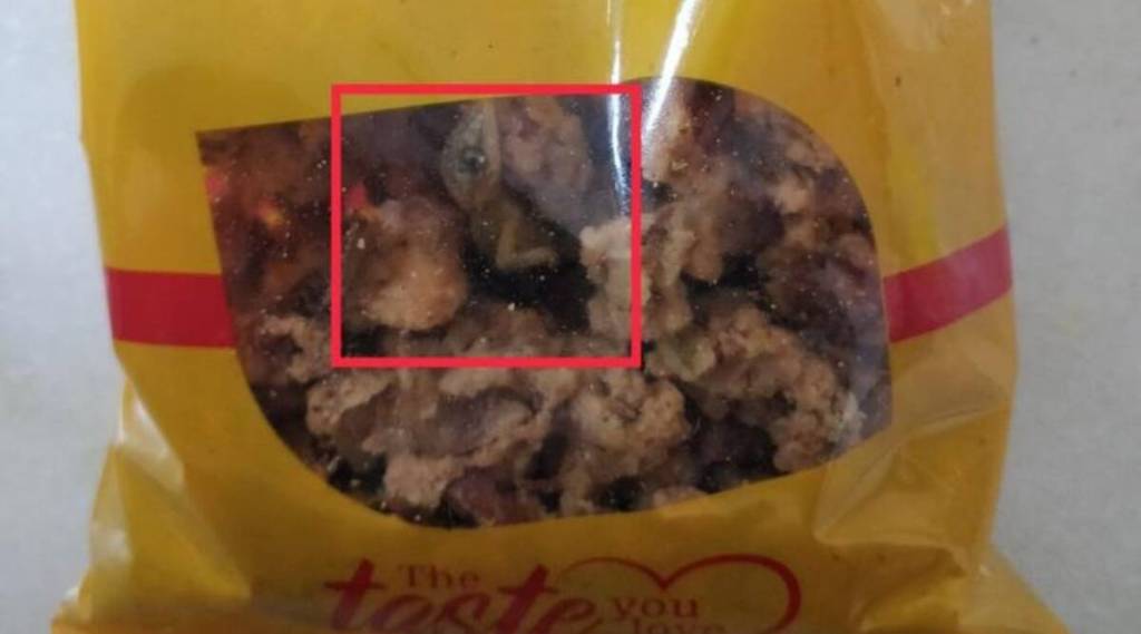 chennai-dead-lizard-in-food-packet