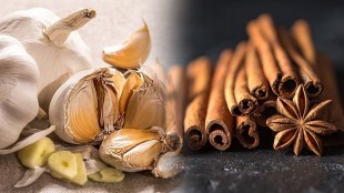 garlic