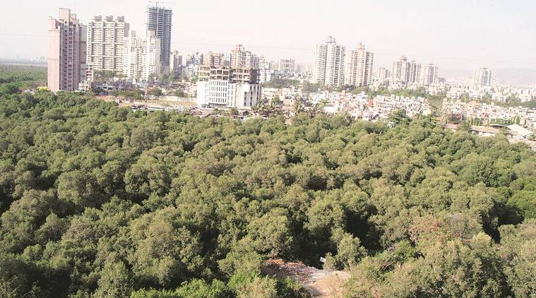 खारफुटीवर अतिक्रमण सुरूच; मुंबईतील राडारोडा खारेगावमध्ये; दोन जणांवर गुन्हे दाखल