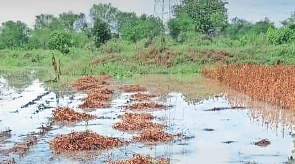 अतिवृष्टीबाधित शेतकऱ्यांना १० हजार कोटींची मदत