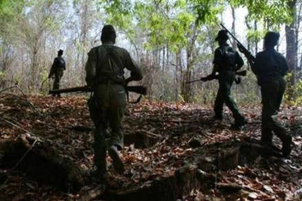 Gadchiroli police arrest Naxalite with Rs 2 lakh bounty