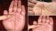 palmistry-2021