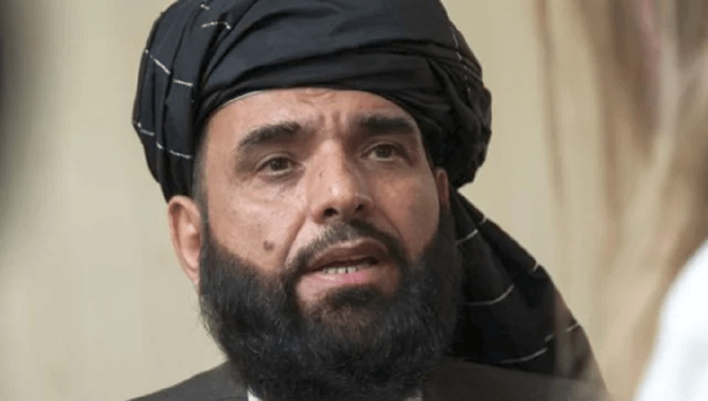 senior taliban leader sohail shaheen