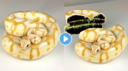 snake-cake-viral-video
