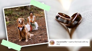 wedding day
