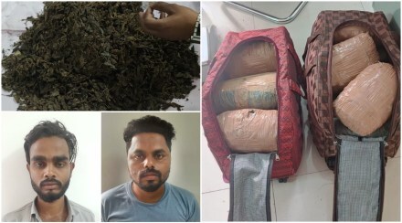 पिंपरी-चिंचवडमधून 30 किलो गांजा जप्त ; दोघांना अटक!