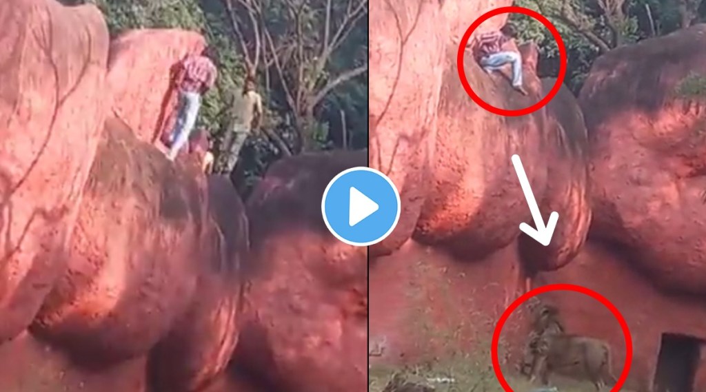 Man tries to enter lions enclosure