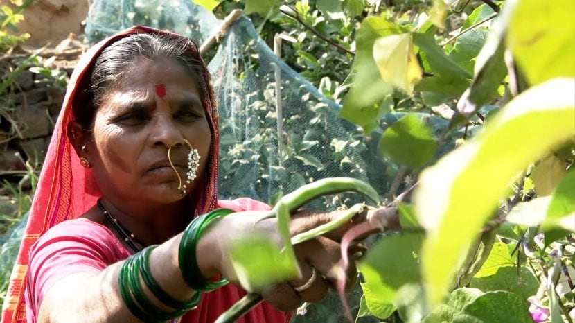 Seed Mother Rahibai Soma Popere honoured with Padma Shri award