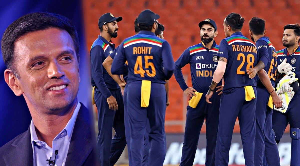rahul dravid backs rohit sharma as team india captain for shorter formats