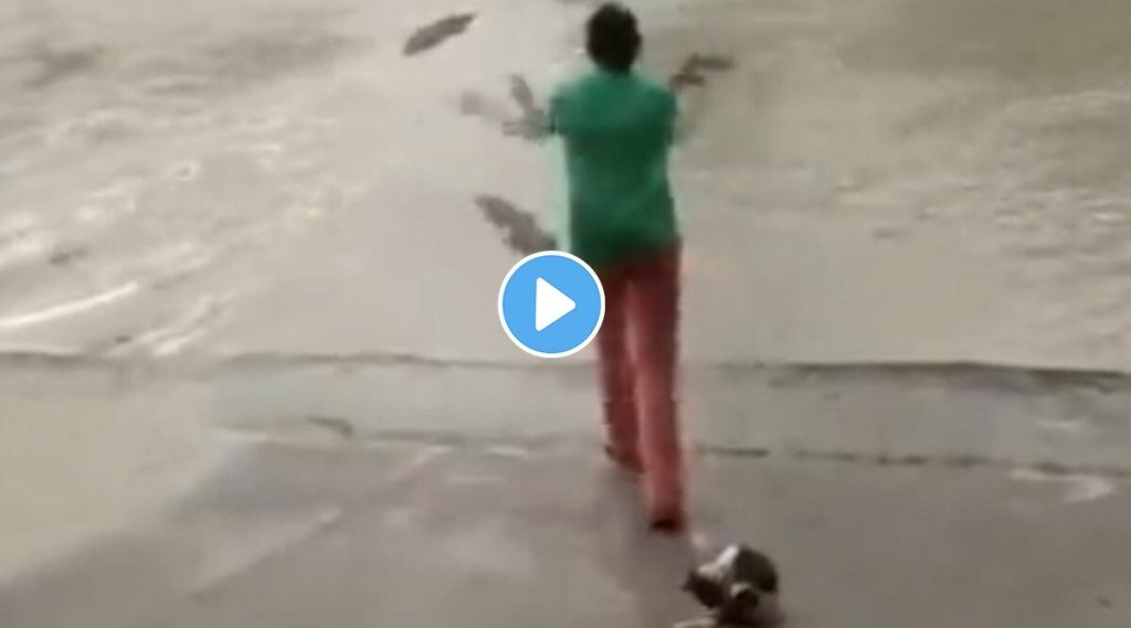 Woman-scares-off-crocodile-with-slippers-viral-video