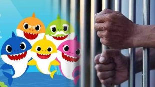 baby-shark-song