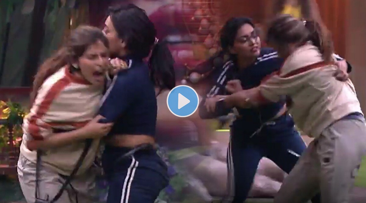 bigg boss marathi 3, meera, sonali,