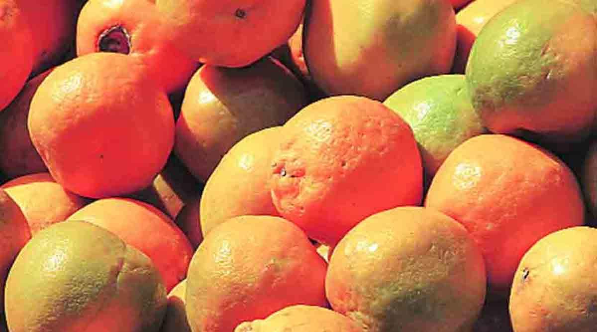 दक्षिणेतील नैसर्गिक आपत्तीचा नागपुरी संत्र्यांना फटका!