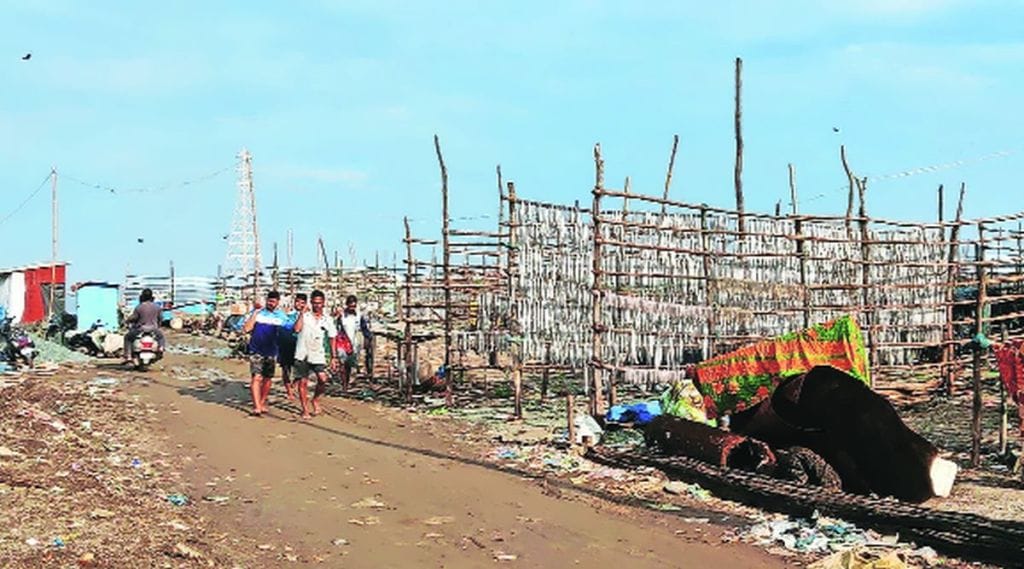 अवकाळीमुळे सुकी मासळी, भातशेतीचे नुकसान