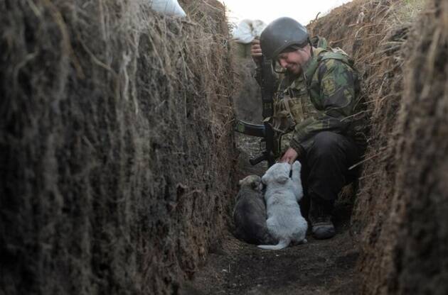 युक्रेनियन सैन्याचा जवान सीमेवर कुत्र्यांच्या पिलांसोबत काही वेळ खेळताना. (फोटो सौजन्य : रॉयटर)