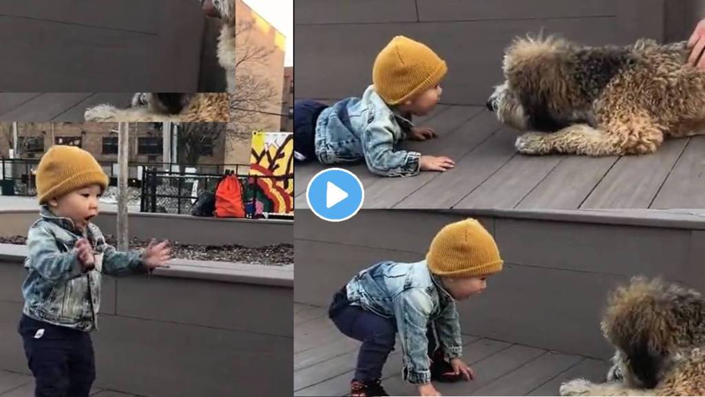 Cute-Baby-See_Dog_First-Time-Viral-Video