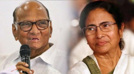 Sharad Pawar Mamta Banerjee