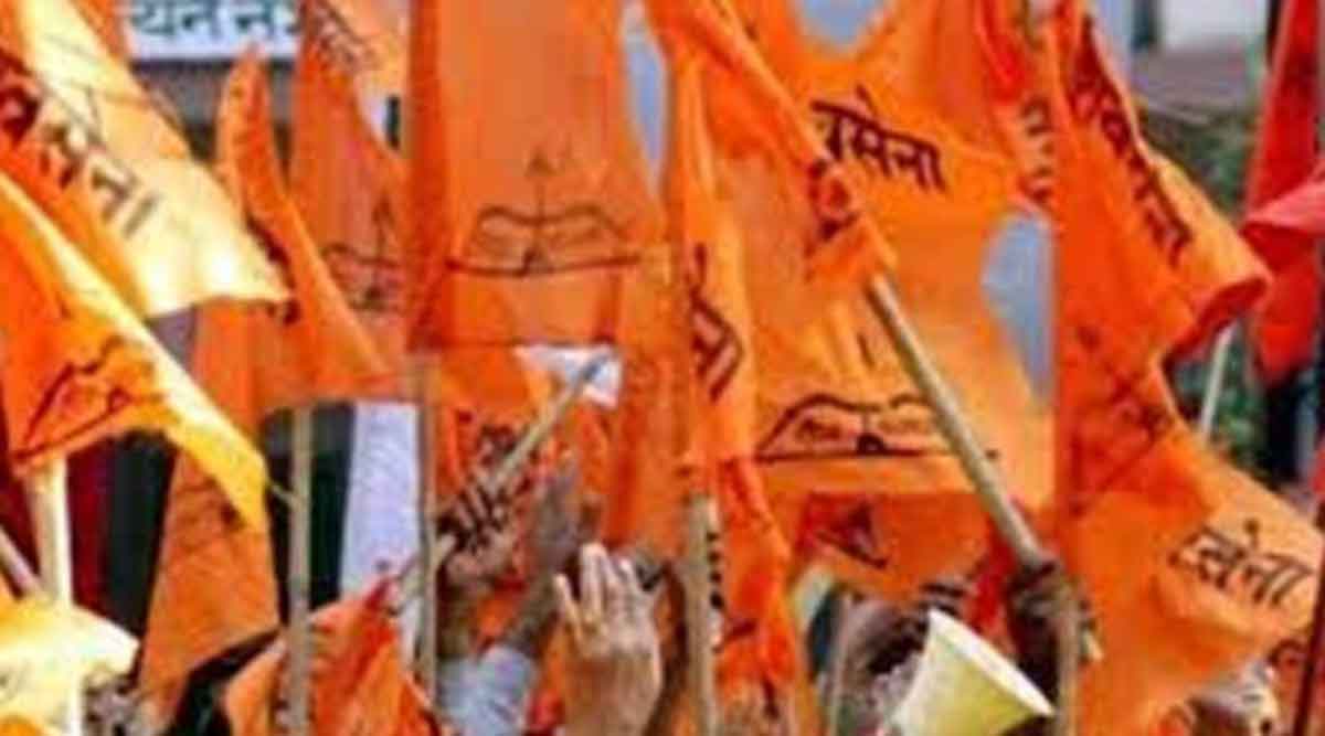 प्रतिनिधिक छायाचित्र