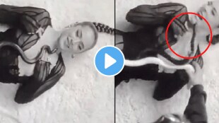 Snake bites singers face