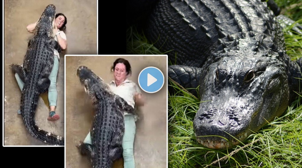 alligator hugs women