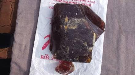 Explained Vomit of whale fish ambergris floating gold valuable sold in crores