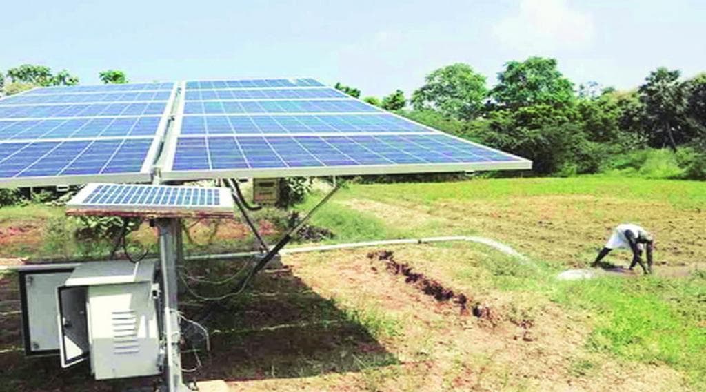 Farming experiment on solar energy