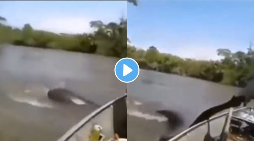 Anaconda viral video