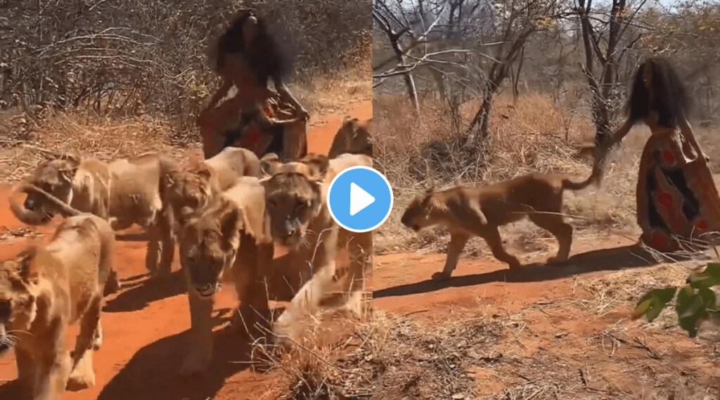 Girl Roaming with Lioness