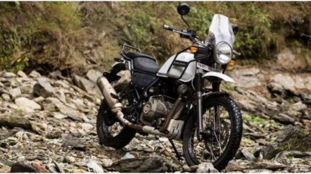 Himalayan-450