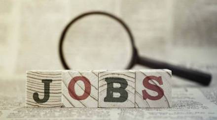 Job-Alert-News