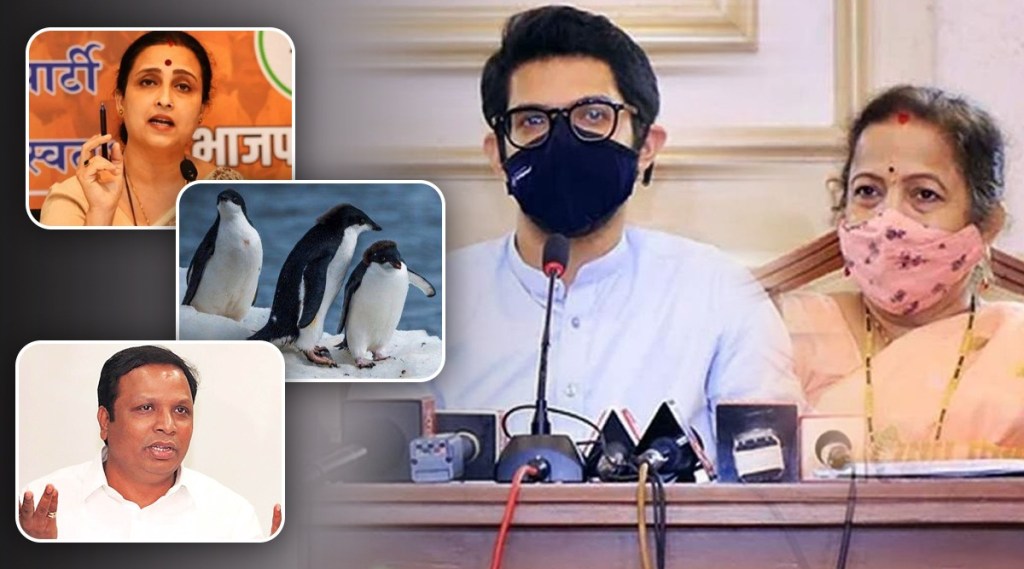 Mumbai Mayor Kishori Pednekar, BJP, Chitra Wagh, Shivsena, Aditya Thackeray, penguin