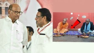 NCP Yogi