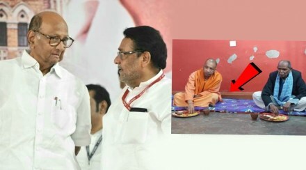 NCP Yogi