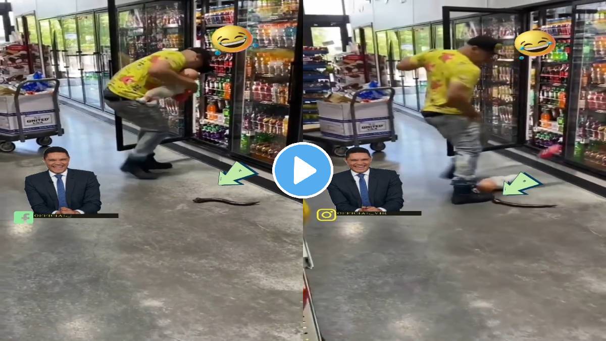 Fake-Snake-Prank-Video-Viral