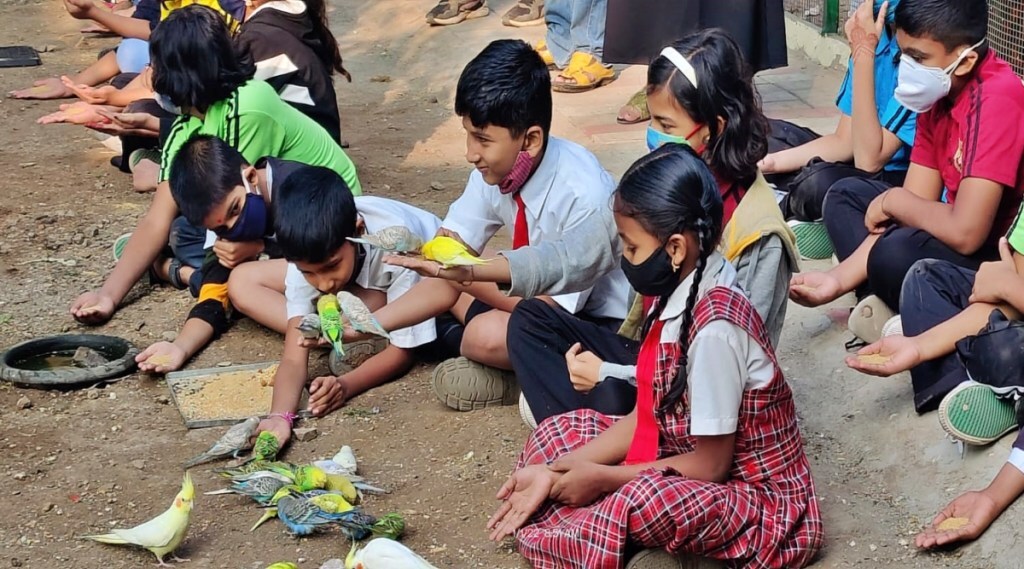 सोलापुरात नववर्षाच्या पहिल्याच दिवशी पोलीस आयुक्तांच्या शासकीय बंगल्यात भरली निसर्गशाळा, पक्षी निरीक्षणात रमले लहानगे