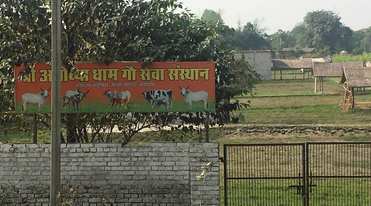 (Express photo by Shyamlal Yadav)
