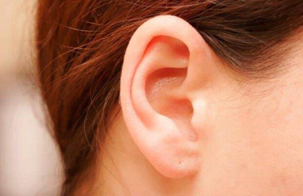 ear