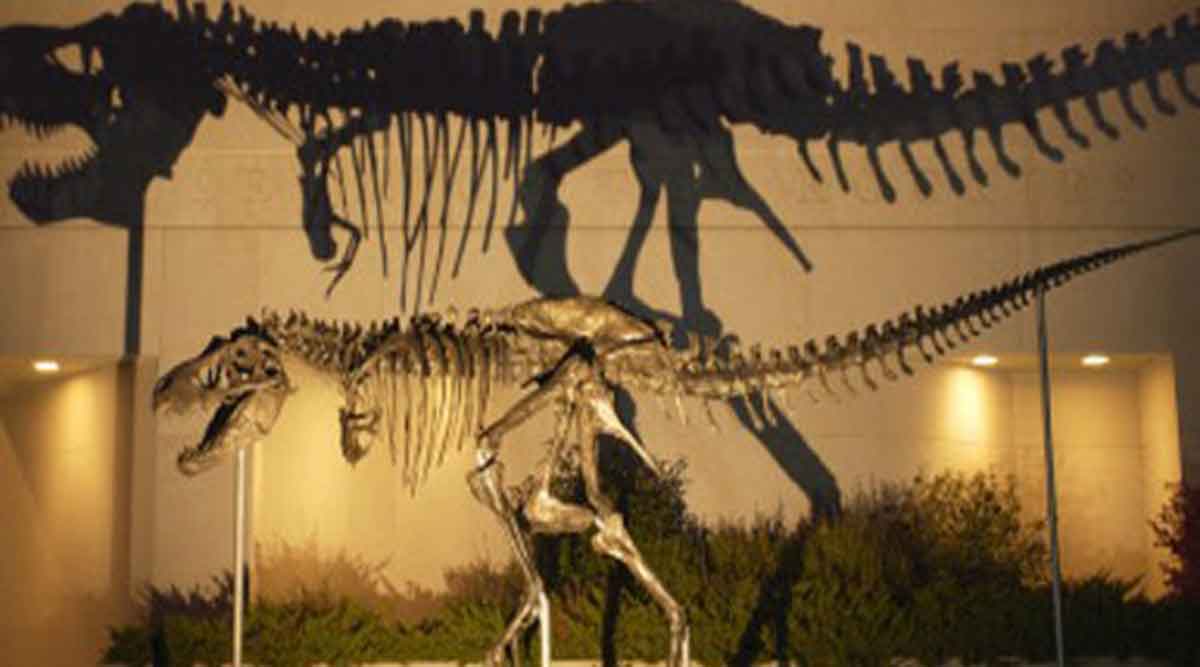 formation of fossils history of life on earth dinosaur fossils zws 70