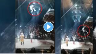 performing stunts in circus